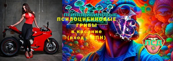 дживик Нягань