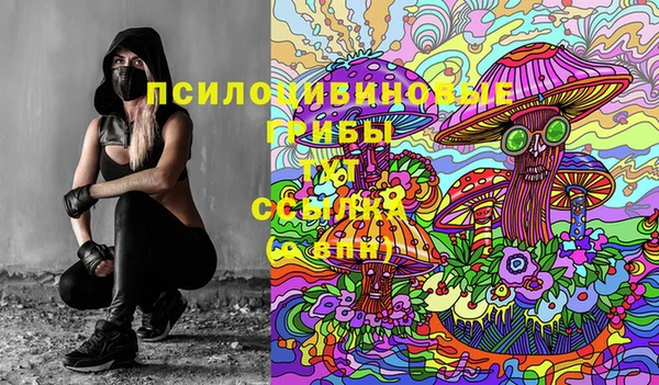 дживик Нягань