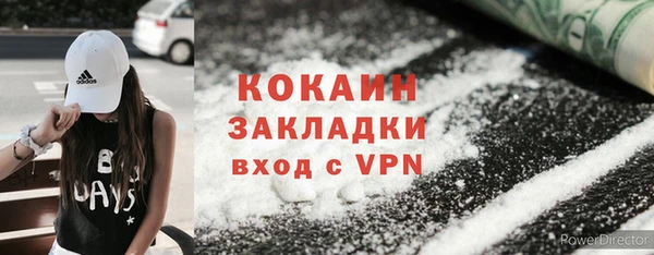 дживик Нягань