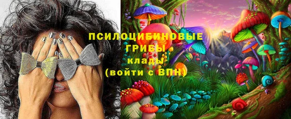 дживик Нягань