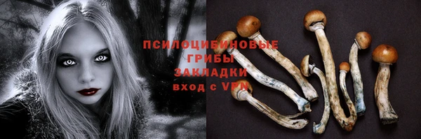 наркотики Няндома