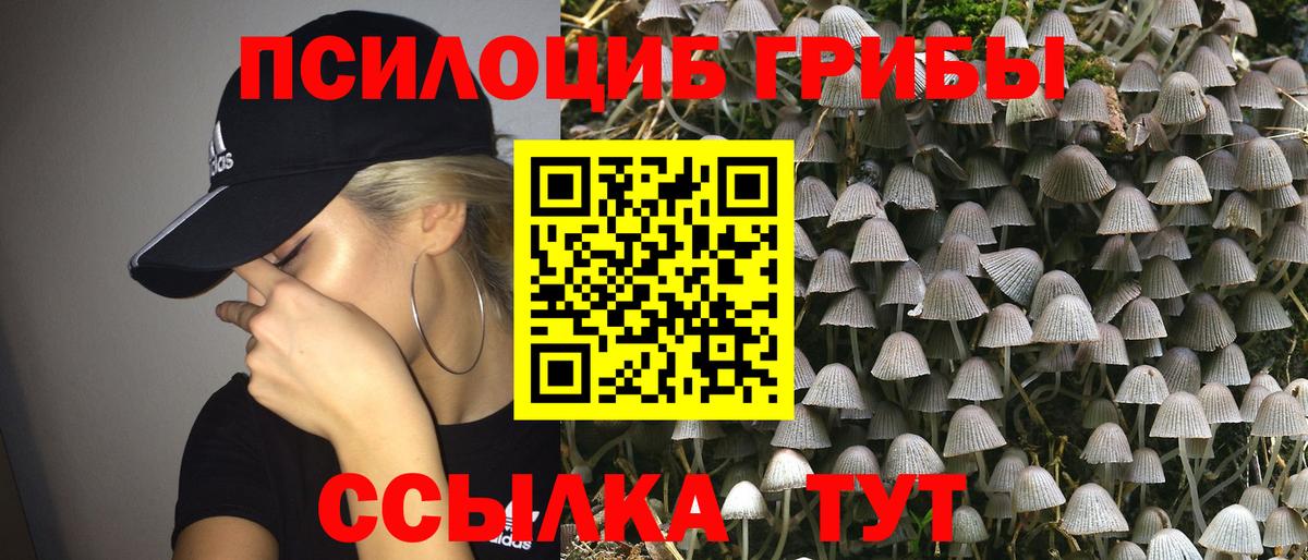 Псилоцибиновые грибы MAGIC MUSHROOMS  Вход с VPN  Саки 