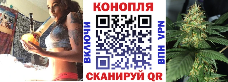 Канабис SATIVA & INDICA  Саки 